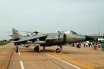 Sea Harrier FRS.1 XZ492