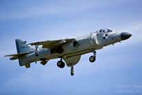 Sea Harrier FA.2 XZ439