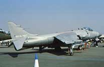 Sea Harrier FA.2 ZD607