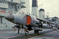 Sea Harrier FRS.2 XZ460