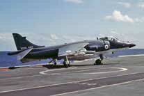 Sea Harrier FRS.1 ZA192